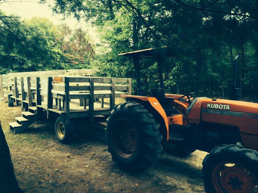 Pumpkin Picking Wagonrides