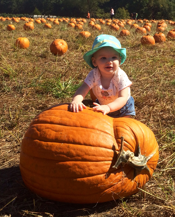 Weekend Pumpkin Picking Wagonrides