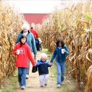 Family Fall Festival