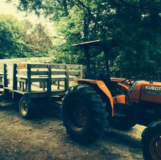 Pumpkin Picking Wagonrides