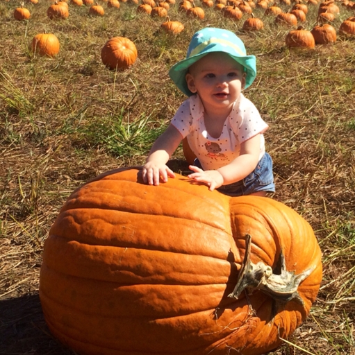 Weekend Pumpkin Picking Wagonrides