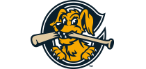 Charleston RiverDogs vs. Greenville