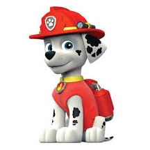 Meet Marshall from Paw Patrol