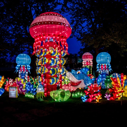 Chinese Lantern Festival