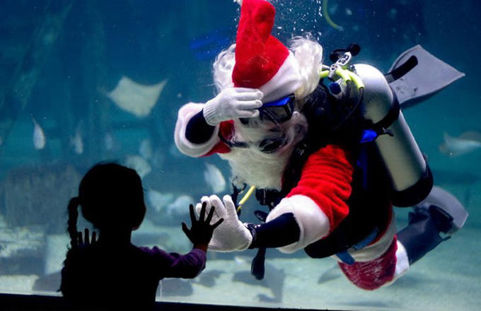 Scuba Santa Live Show