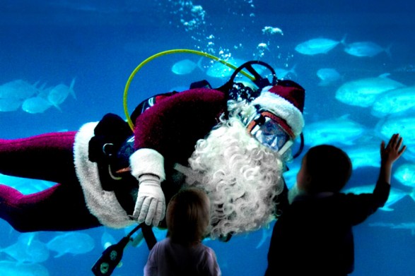 Adventure Aquarium's Christmas Underwater