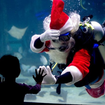 Scuba Santa Live Show