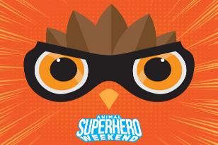 Animal Superhero Weekend