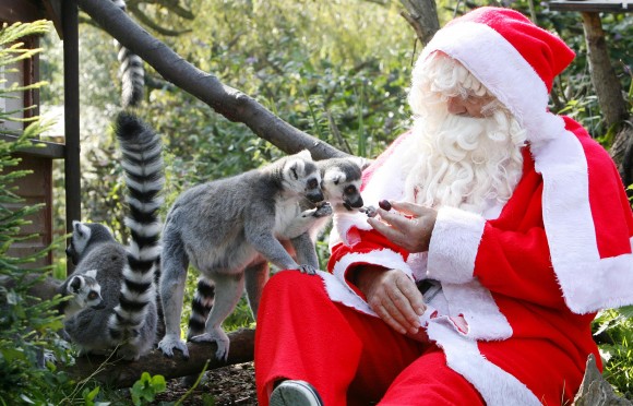 Breakfast with Santa at The Zoo