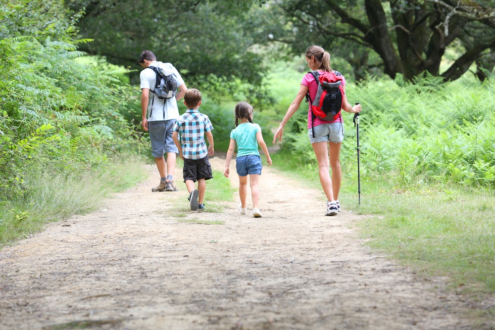 Family Hike Outing