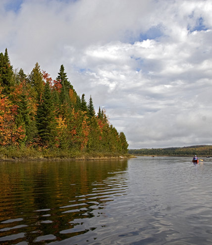 Fall-Foliage Kayak Tour