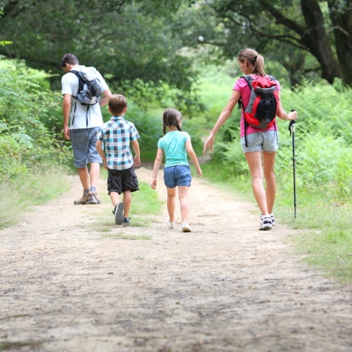 Family Hike Outing