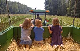 Family Fun at the Farm