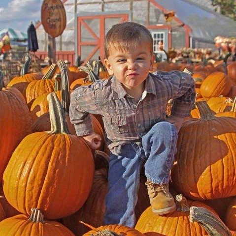 Fall Harvest Festival