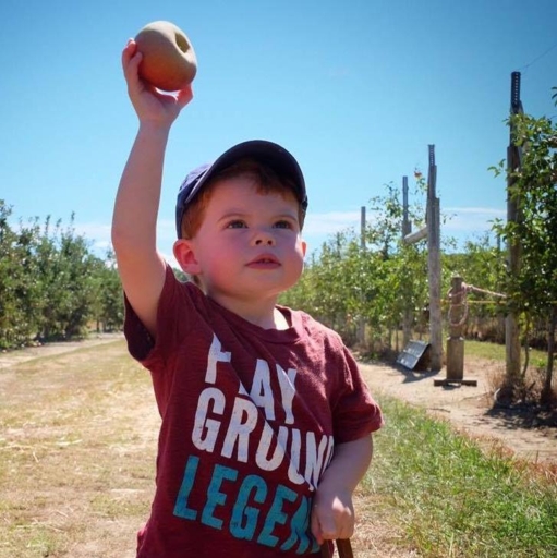 Apple & Pumpkin Picking