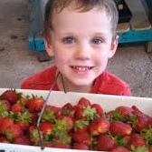 Strawberry Picking Hayrides