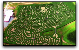 2018 Corn Maze - Deep Sea Adventure!