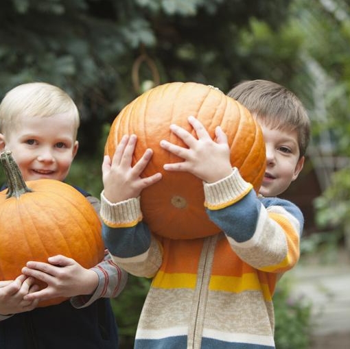 Pumpkin Picking Hayrides