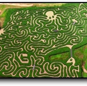 2018 Corn Maze - Deep Sea Adventure!