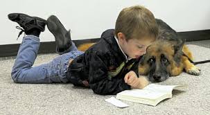 Barking Book Buddies