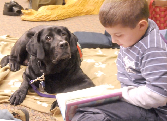 Barking Book Buddies