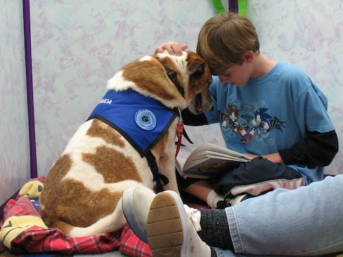 Barking Book Buddies