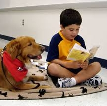 Barking Book Buddies