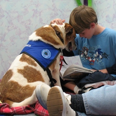 Barking Book Buddies