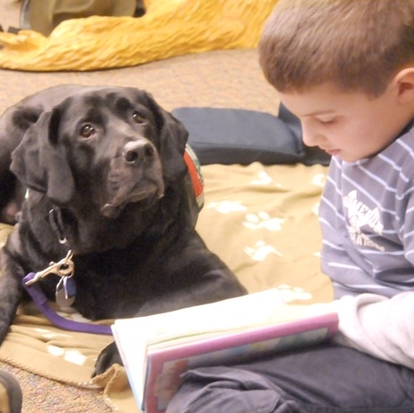 Barking Book Buddies