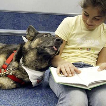 Barking Book Buddies