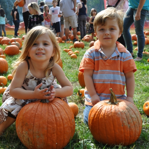 Evesham Harvest Festival