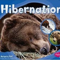 Winter Hibernation